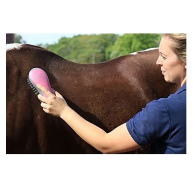 Kit de aseo para Caballos - Oster precio en Paraguay. Tienda oficial. Veterinaria. Animales