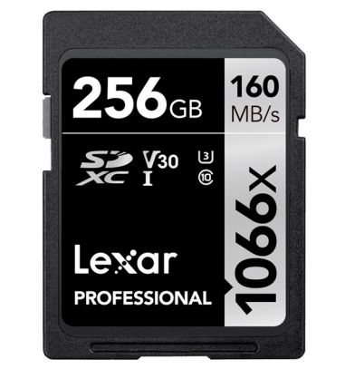 Memoria SD Lexar Professional 256GB