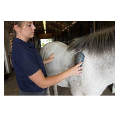 El kit de aseo para Caballos Oster® - Azul