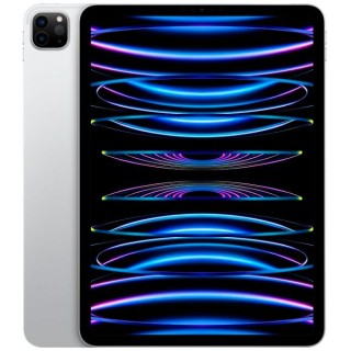 Apple iPad Pro 11" M2 Wifi 256GB Silver. Al mejor precio en el Paraguay