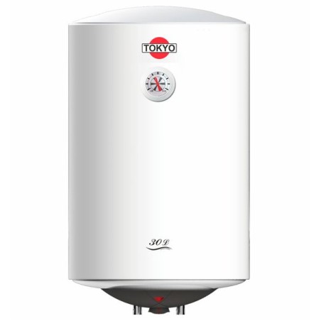 Termocalefon Tokyo Vertical 30Lt. Al mejor precio en el Paraguay
