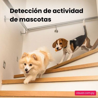 Cámara de Seguridad EZVIZ H6 WiFi Inteligente – 5MP (Lente 4 mm)