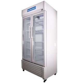 Exhibidor Goodweather 610 LTS 2 Puertas