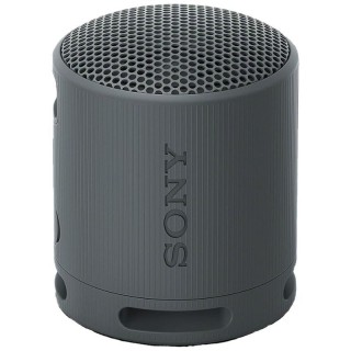 Speaker Portatil Sony SRS-XB100 Black