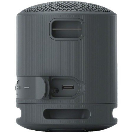 Speaker Portatil Sony SRS-XB100 Black