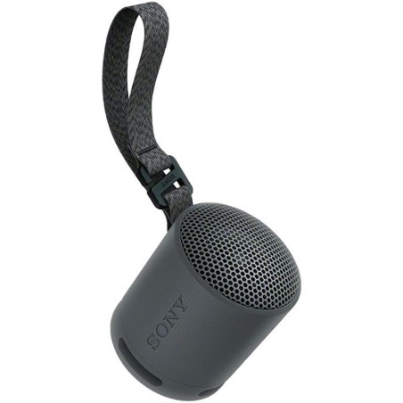 Speaker Portatil Sony SRS-XB100 Black