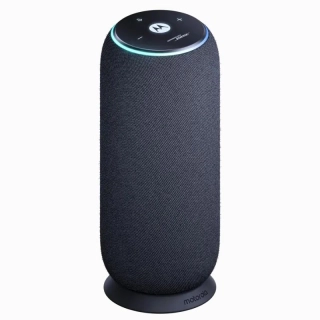 Speaker Moto Sound Flow by Bose