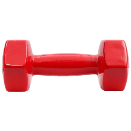 Mancuerna BEST 6KG ACBSDB006