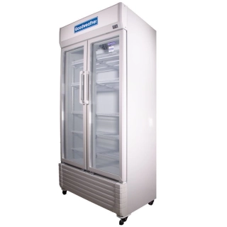 Exhibidor Goodweather 610 LTS 2 Puertas - Outlet